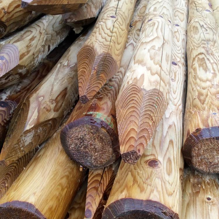 Piquet traité autoclave.