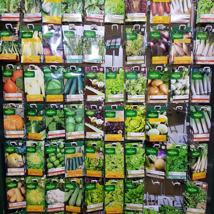 Rayon semences légumes.