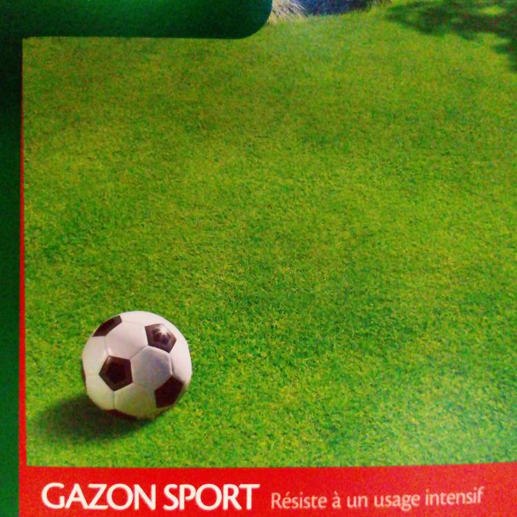 Semences sport VILMORIN.