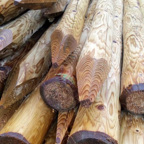 Piquets de clotûre en bois autoclavé.