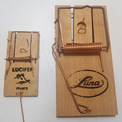 Attrape souris.